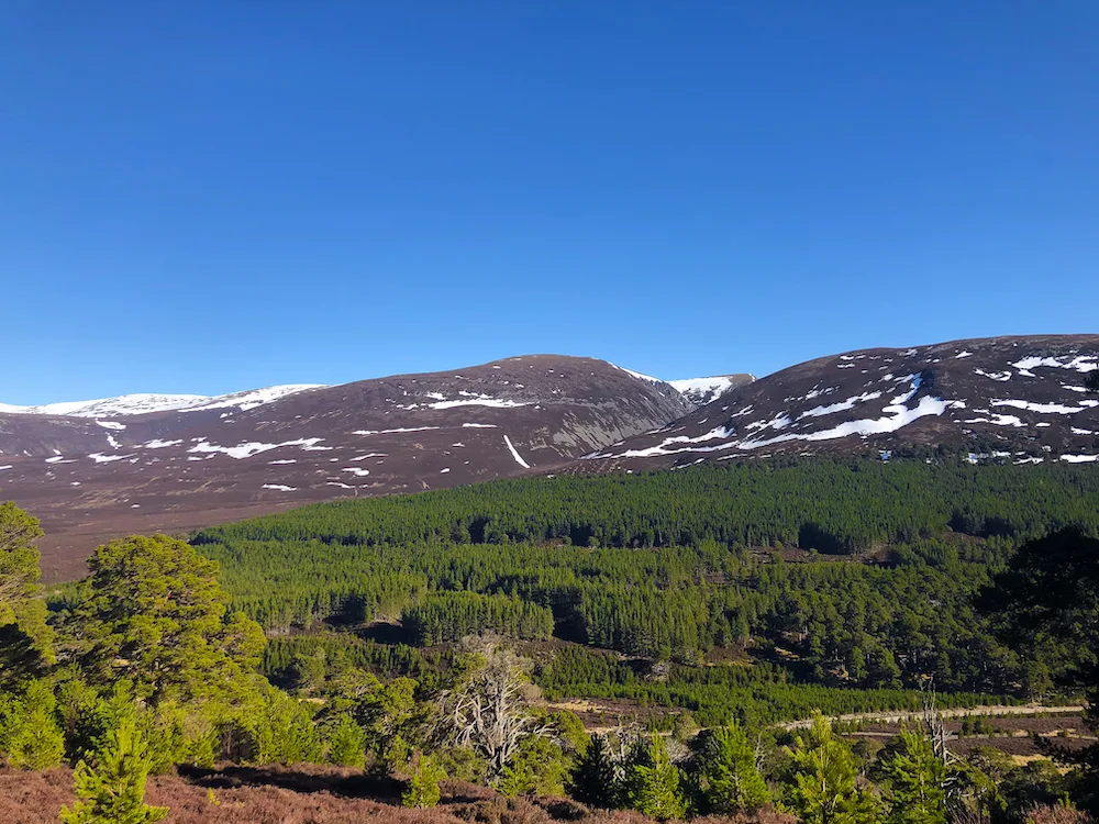 Glenfeshie Hostel-11